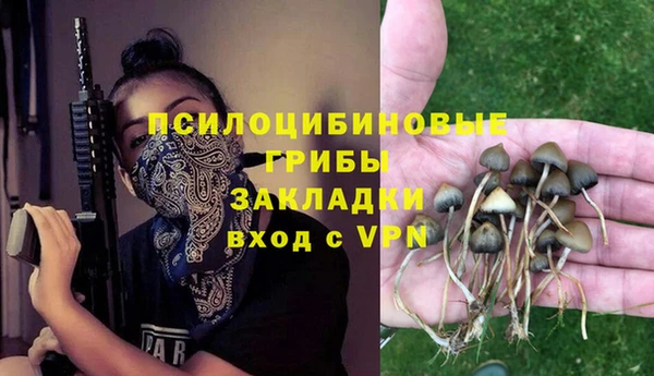 apvp Армянск
