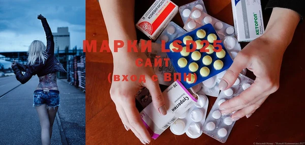 стафф Аркадак
